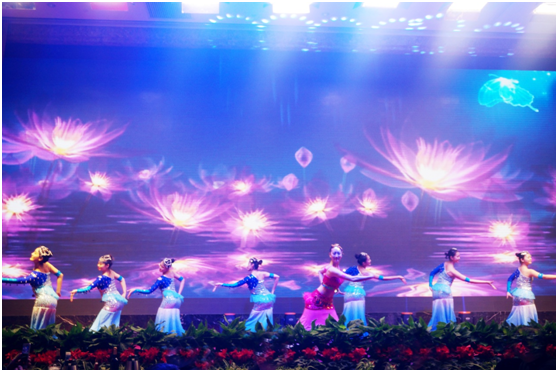 虎豹集團2016年年會 虎豹集團2016年年會